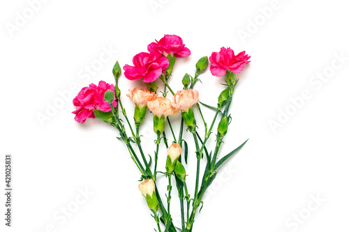 bouquet of pink carnation flower isolated on white background Top view Flat lay Holiday card 8 March, Happy Valentine's day, Mother's, Memorial, Teacher's day concept Copy space	