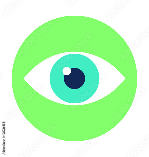 Eye Colored Vector Icon