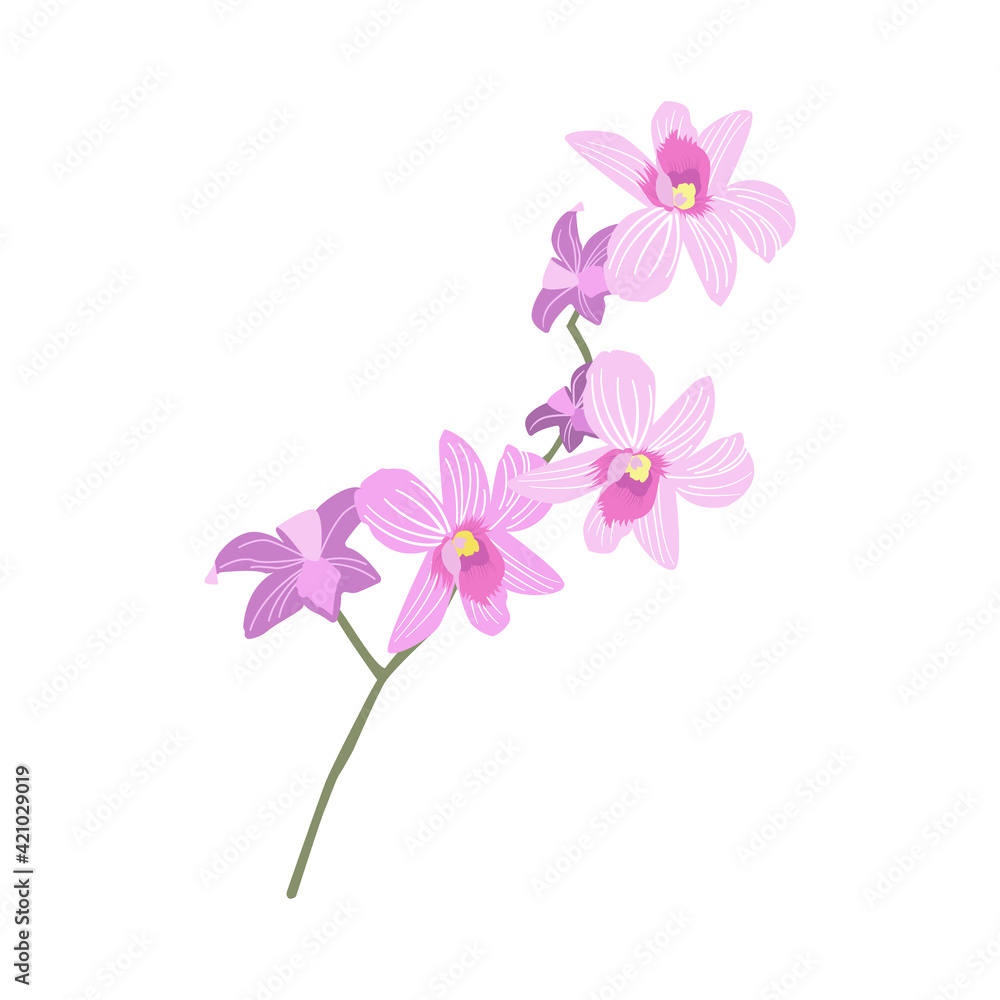 Blooming branch of an orchid. Delicate beautiful flower. Vector illustration isolated on white background.