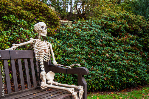 skeleton sitting on a bench in the park