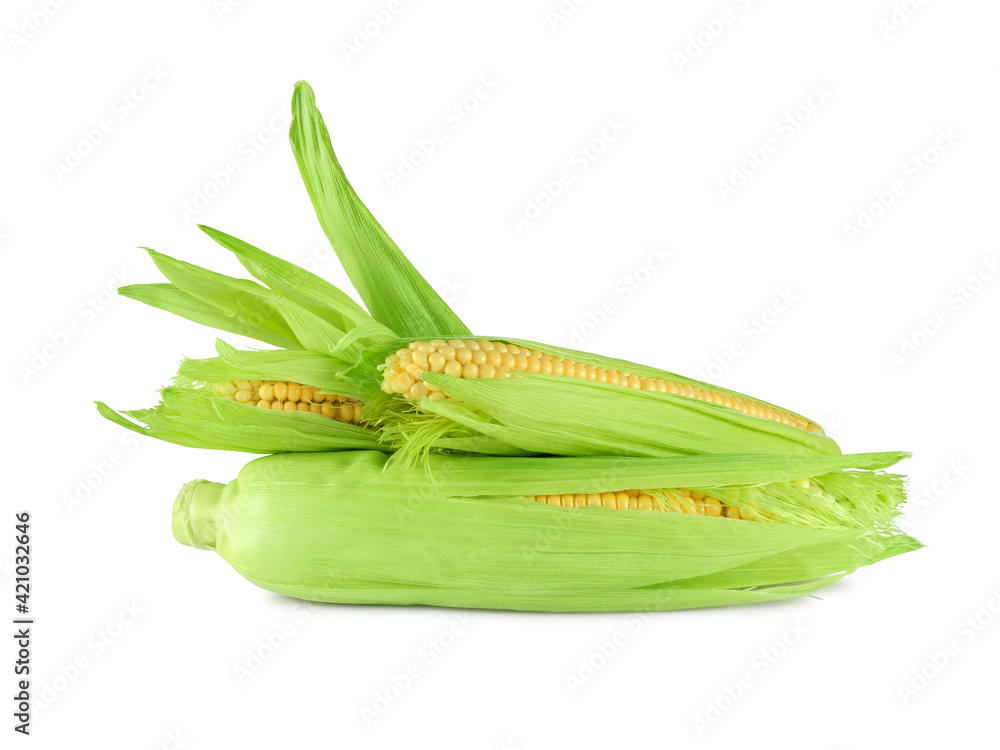 Three fresh corn cobs with green leaves isolated on white background Three fresh corn cobs with green leaves isolated on white background