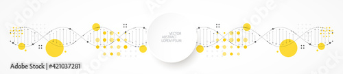 Science template, wallpaper or banner with a DNA molecules. Vector