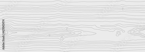 Wood grain white gray texture. Seamless wooden pattern. Abstract line background. Tree fiber vector illustration