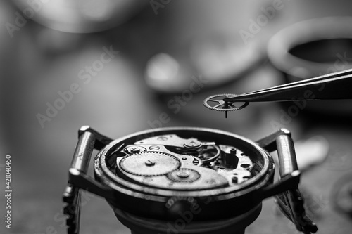 Mechanical watch repair process. Watchmaker