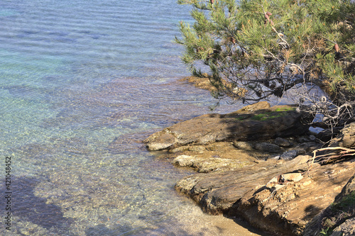 Beach in Porquerolles  French Riviera