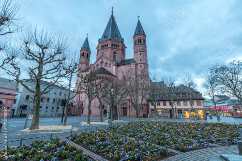 Blumenbeet vor dem Mainzer Dom photo