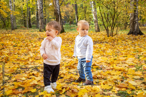 two adorable toddlers in an autumn park in yellow leaves