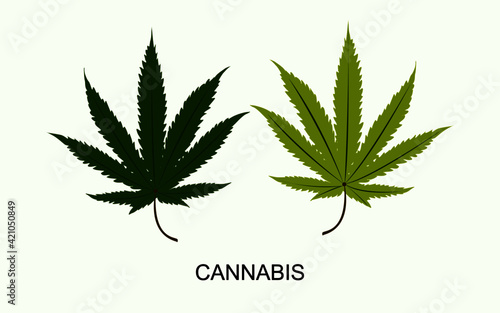 vector isolated cannabis green leaf 