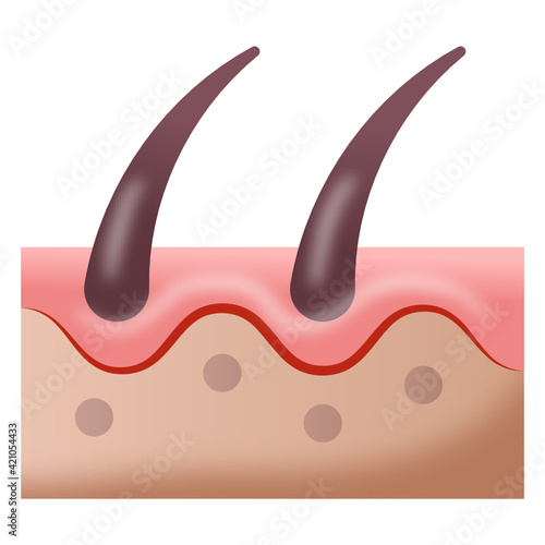 
An icon design of hair follicle in flat style 

