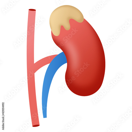 
Trendy design flat icon of nephron 

