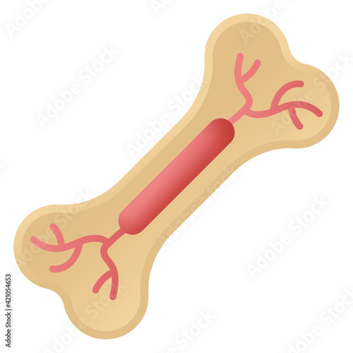
Flat vector design of bone marrow icon

