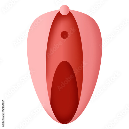 
Female sex organ icon in flat design, vagibne vector 

