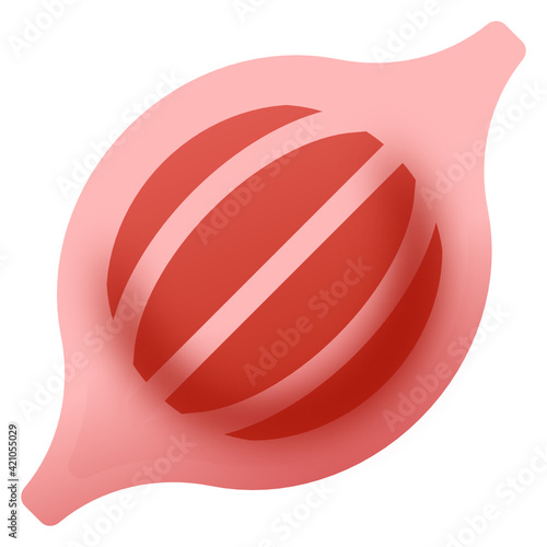 
Vector design of skeletal muscle tissues icon

