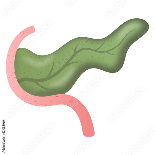 
Editable flat design of pancreas icon


