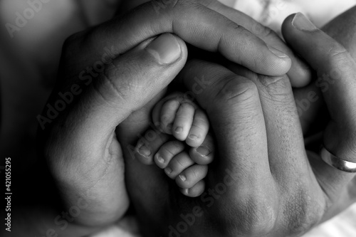 Father's caring hands hold the little feet of the newborn on a black background, black and white photo 