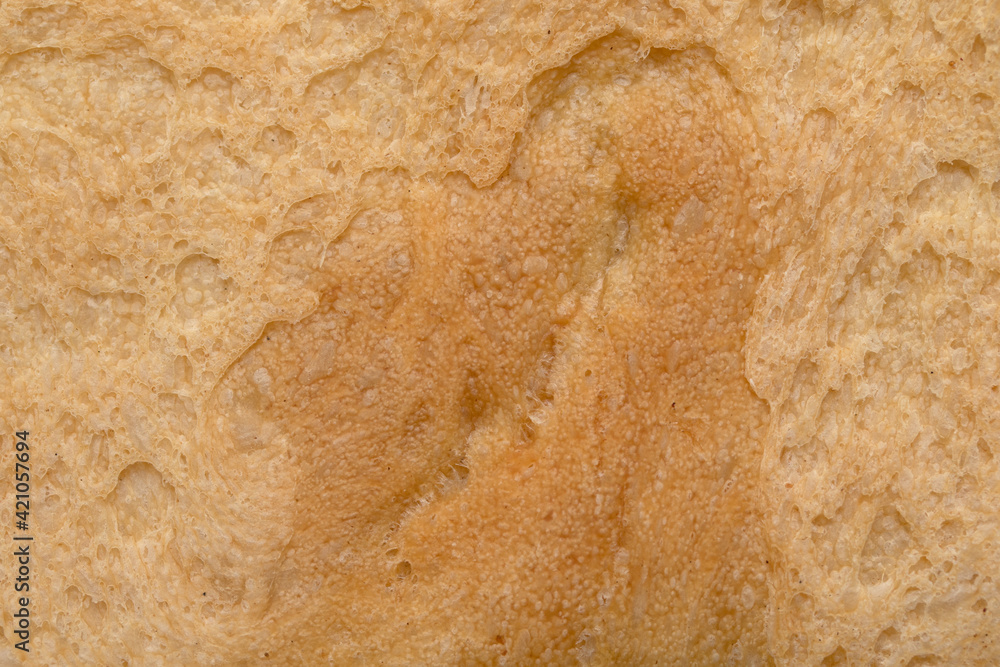 porous texture of a crust of bread, background porous texture of a crust of bread, background