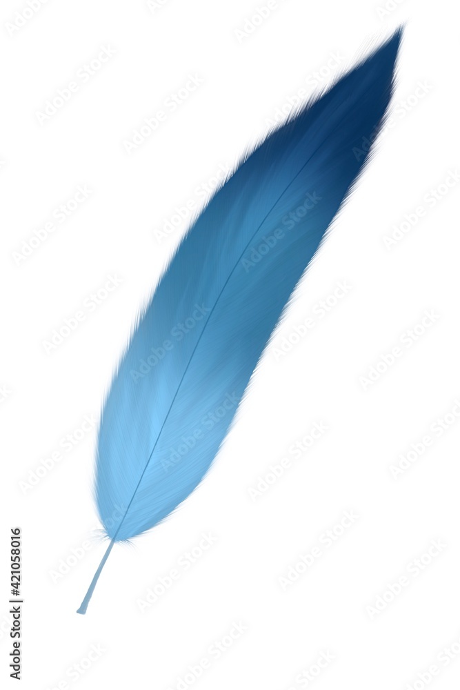 Hand drawn feather illustration. fluffy feathers. for invitation wedding card. Rustic feathers Bright colors. Hand drawn feather illustration. fluffy feathers. for invitation wedding card. Rustic feathers Bright colors.