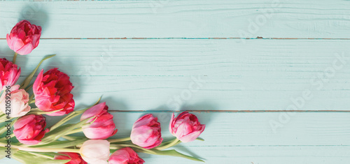 Fototapeta Naklejka Na Ścianę i Meble -  red tulips on blue mint wooden background