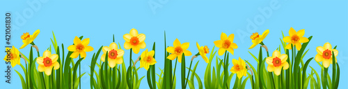 Bloom flowers blue background banner
