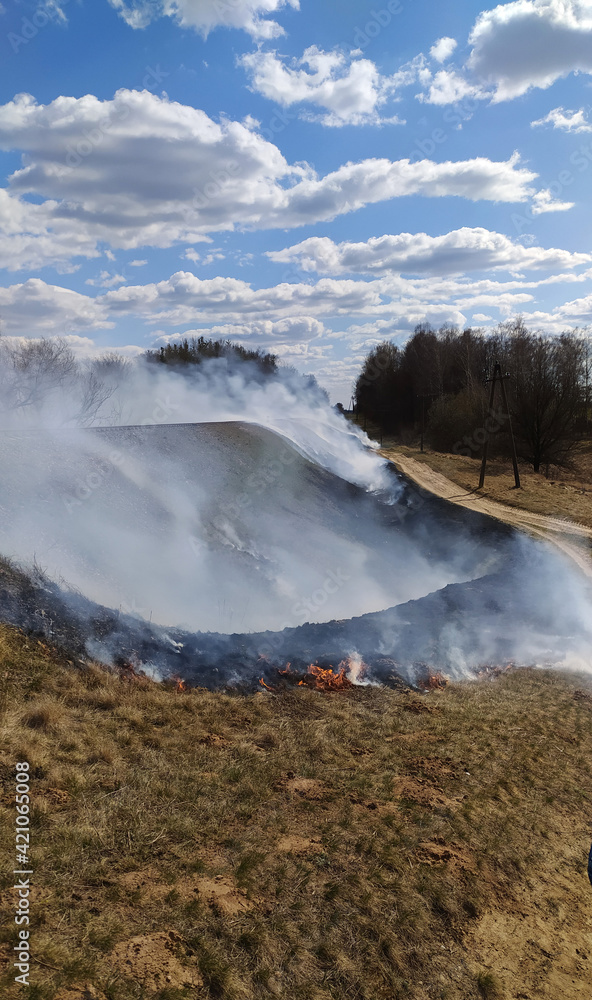 Spring burning dry grass