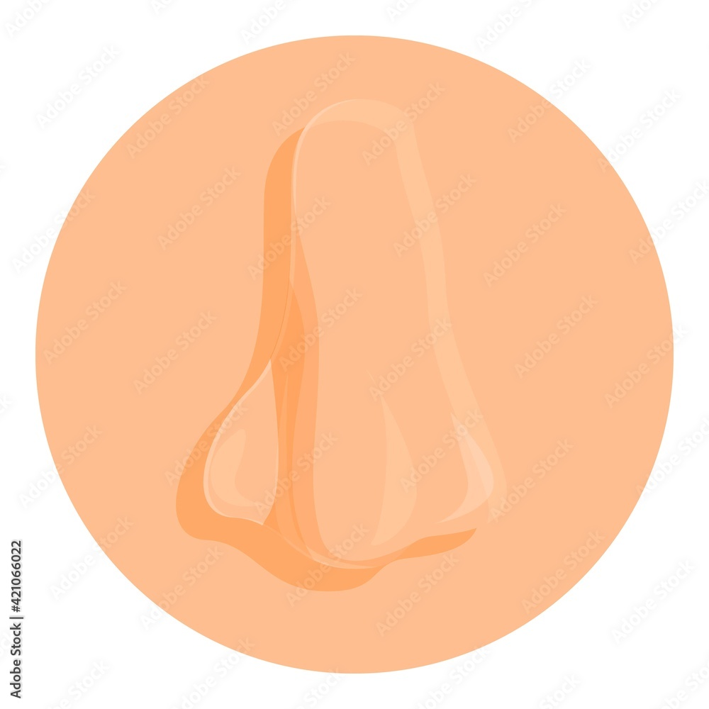 Nose organ icon. Cartoon of nose organ vector icon for web design isolated on white background Nose organ icon. Cartoon of nose organ vector icon for web design isolated on white background
