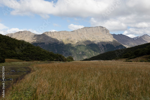 Rural landscape in the mountains. Panorama view of the golden valley  meadow  forest and mountains in a summer sunny day.