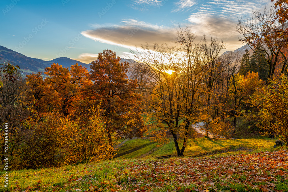 Fototapeta premium autumn landscape with trees