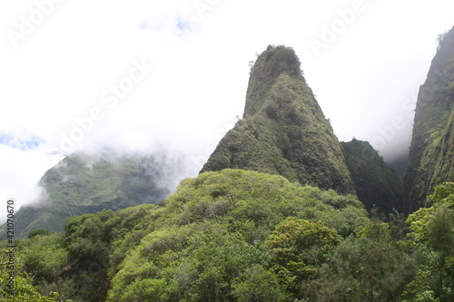  Foggy Pinnacles in the Iao Valley State Park, Maui, Hawaii, with Dramatic Volcanic Mountains, Pinnacles and Carved by a Water Running Downhill Eroding the Volcanic Valley	 photo