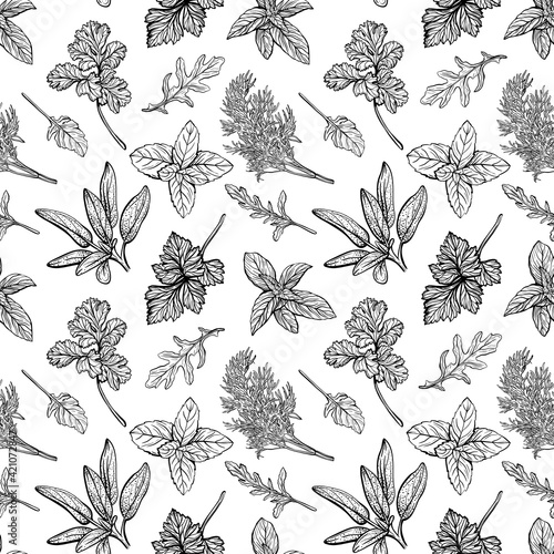 Italian herbs seamless pattern. Provencal condiments and herbs pattern. Mediterranean cuisine. Hand-drawn vector illustration