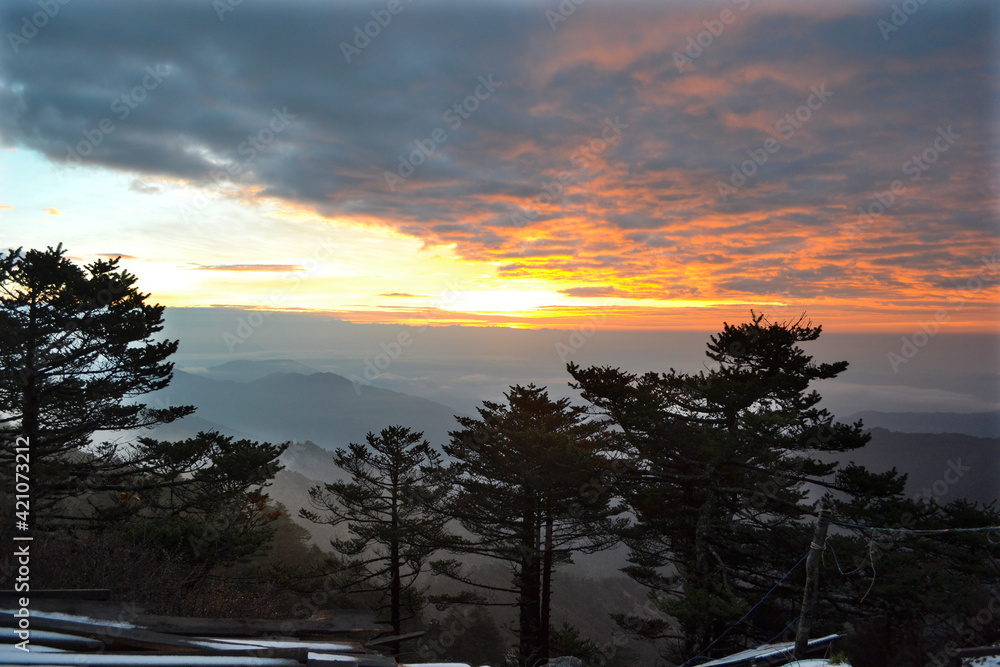 Fototapeta premium The sun blooms on the horizon, It is the invitation to a new beautiful day.