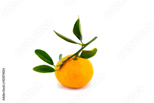 mandarin fruit with leaves
