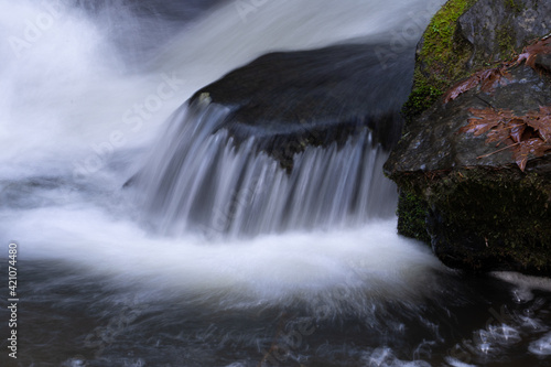 White water rapids in Mcdonnel Creek near Sweet Home Oregon