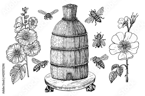  Bee and Honey. Mead and insect and floral and Beekeeping. Honeycomb and hive Vector Engraved hand drawn Vintage old sketch for t-shirt or typography or badge. Vector illustration