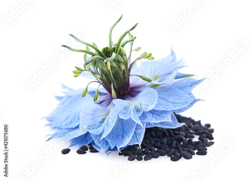 Black cumin seeds with nigella sativa flower in closeup on white background