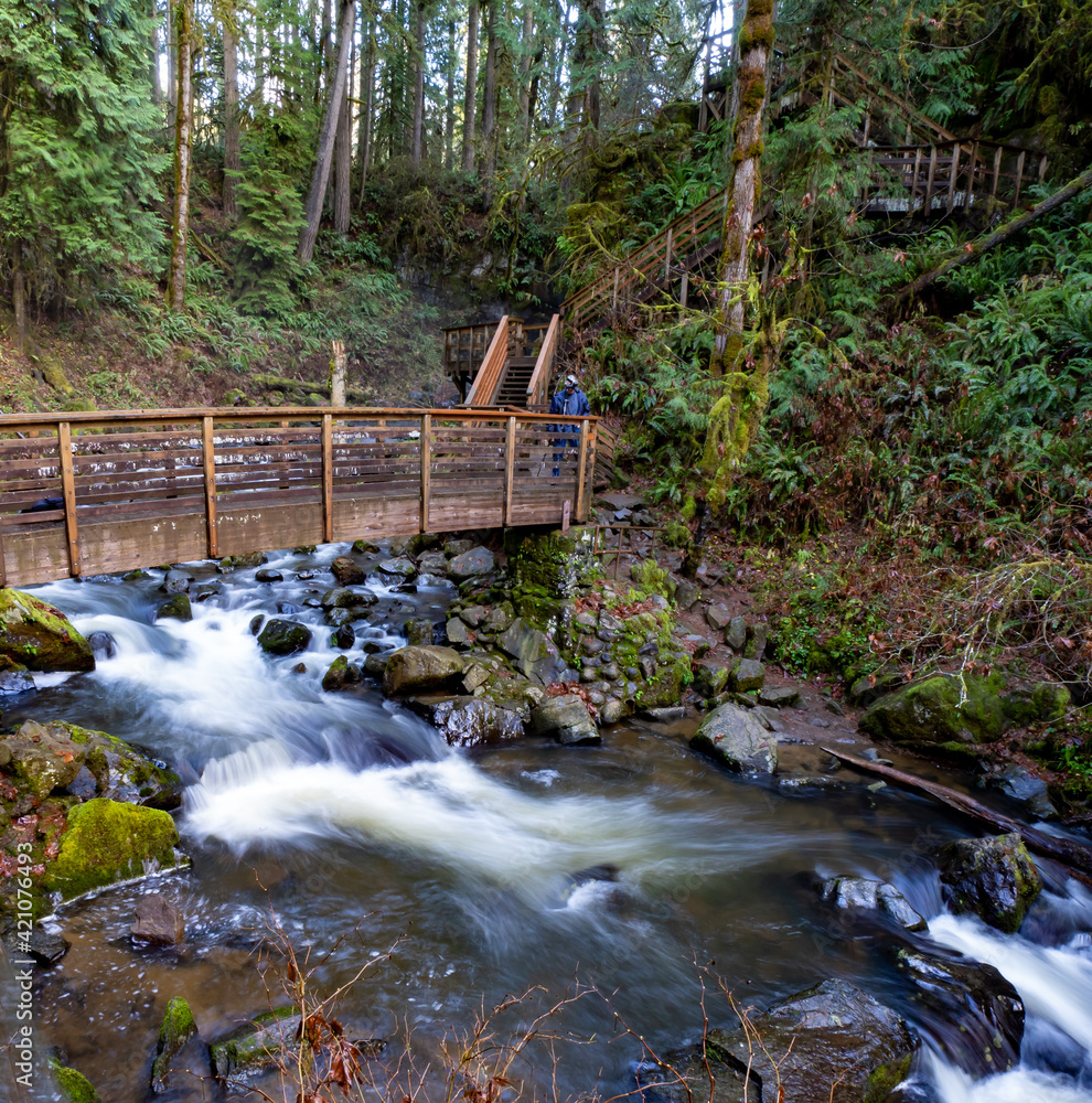 Obraz premium A photographer on a foot bridge crossing McDowell creek just below Majestic Falls near Sweet Home Oregon