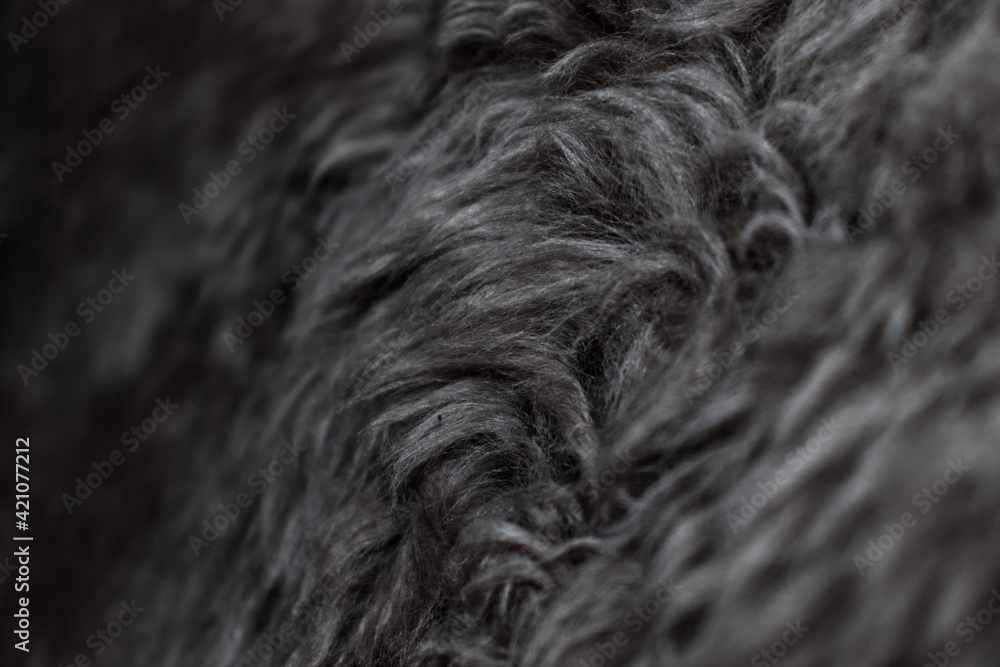 Closeup detail of greyscale fur texture Closeup detail of greyscale fur texture