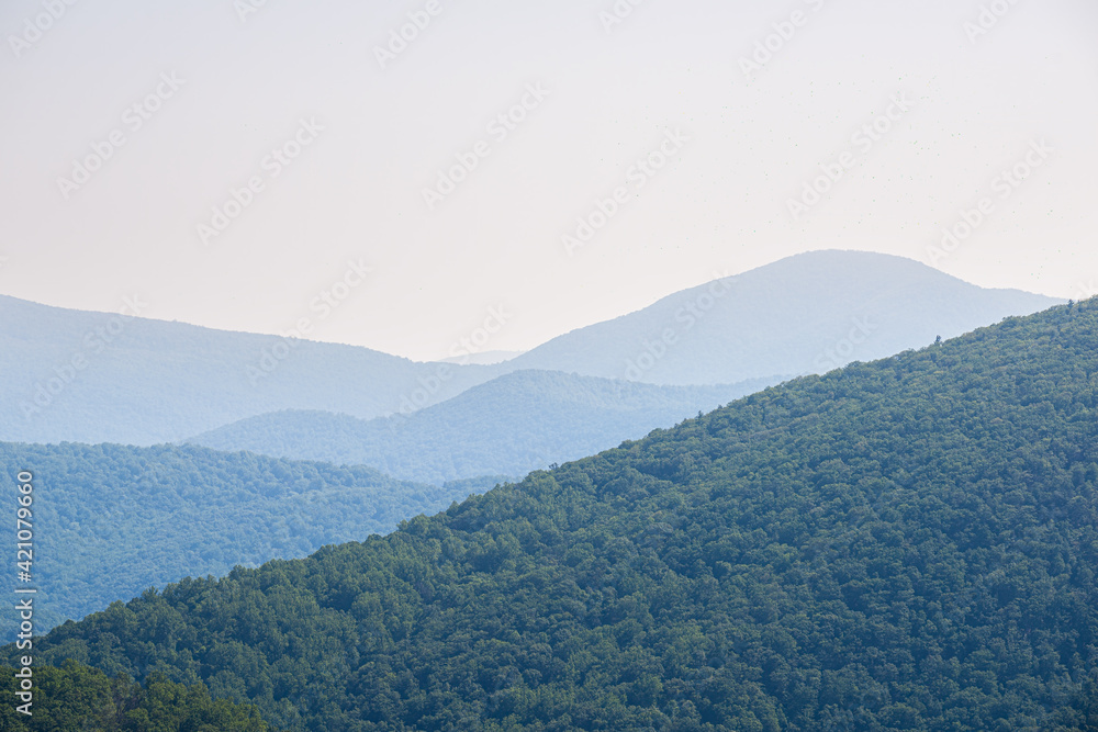 View of horizon in Appalachian Shenandoah Blue Ridge mountains on Skyline drive park overlook with rolling hills in forest