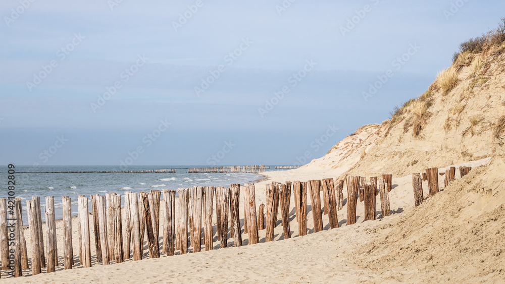 Rows of breakwaters or groynes on sandy beach and dunes on the coastline of Zeeland, the Netherlands
