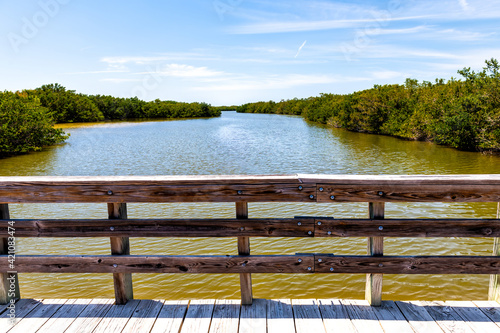 Sanibel Island, USA Bowman's beach with landscape view of Bayou from wooden boardwalk bridge with railing on river bay in summer