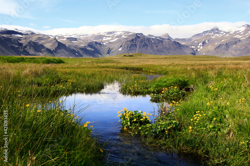 Stream and meadow near Ytri Tunga beach, Snaefellsnes peninsula, Iceland photo