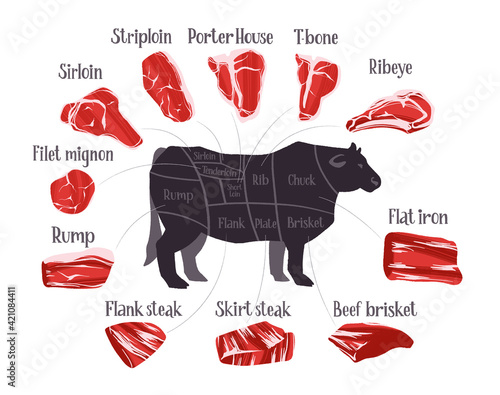 Steak cuts set. Beef cuts chart and pieces of beef, used for cooking steak and roast.