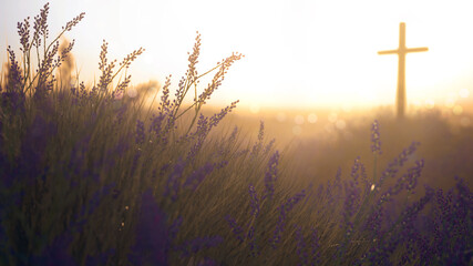 Cross in a meadow of wildflowers
