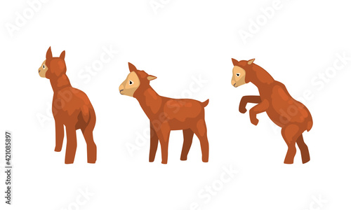 Cute Brown Lamb as Farm Animal in Different Poses Vector Set