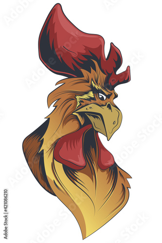 Amazing rooster color drawing