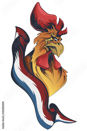 Gallic rooster with french flag vector drawing