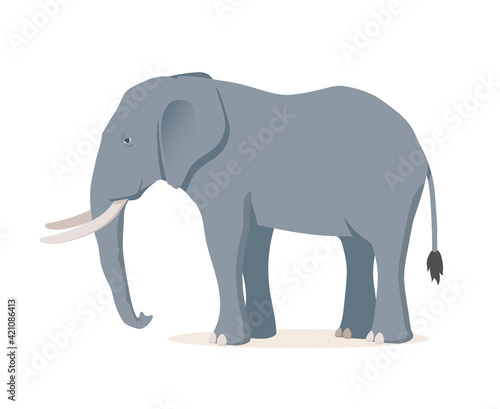 African elephant. Vector illustration isolated on white background