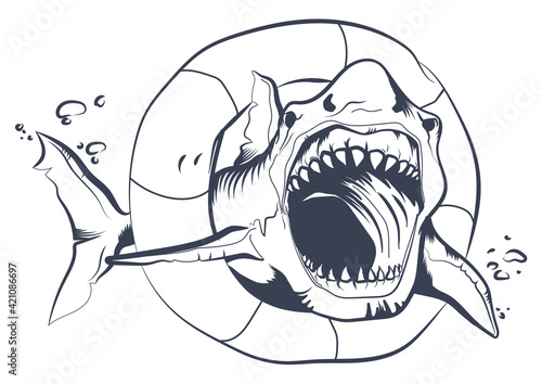 Wild shark with lifebelt drawing