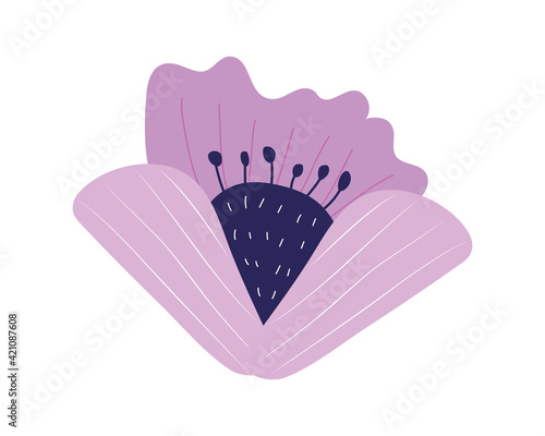 flower garden lilac