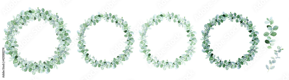 Eucalyptus wreath with elements isolated on white Eucalyptus wreath with elements isolated on white