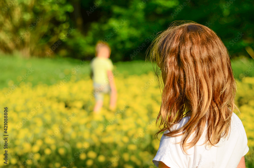 Obraz premium girl in the foreground and boy in the background playing on a green field full of yellow dandelions